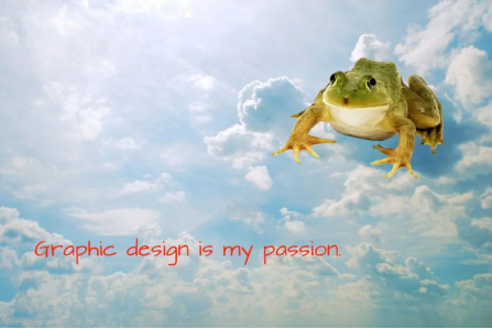 Graphic Design is My Passion -30 Best Memes 28 The Classic Frog Art