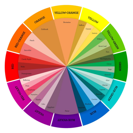 Your Guide to Color Psychology in Marketing: Explained with Examples 12 Color Wheel Color Combinations
