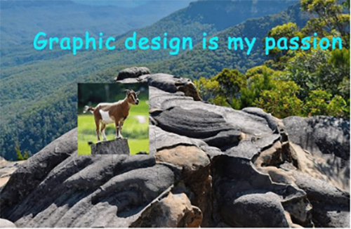 Graphic Design is My Passion -30 Best Memes 7 G.O.A.T.