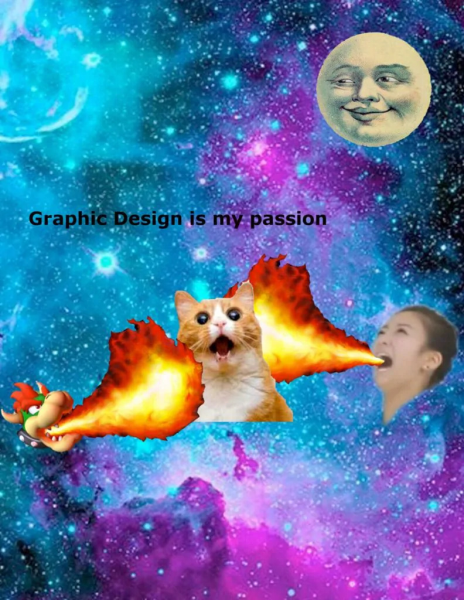 Graphic Design is My Passion -30 Best Memes 24 Too Much Already?